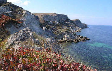 Удивительная природа Крымского полуострова