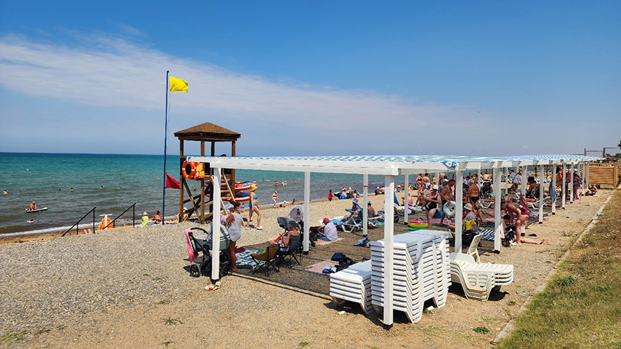 песчаное золотой лев отзывы фото