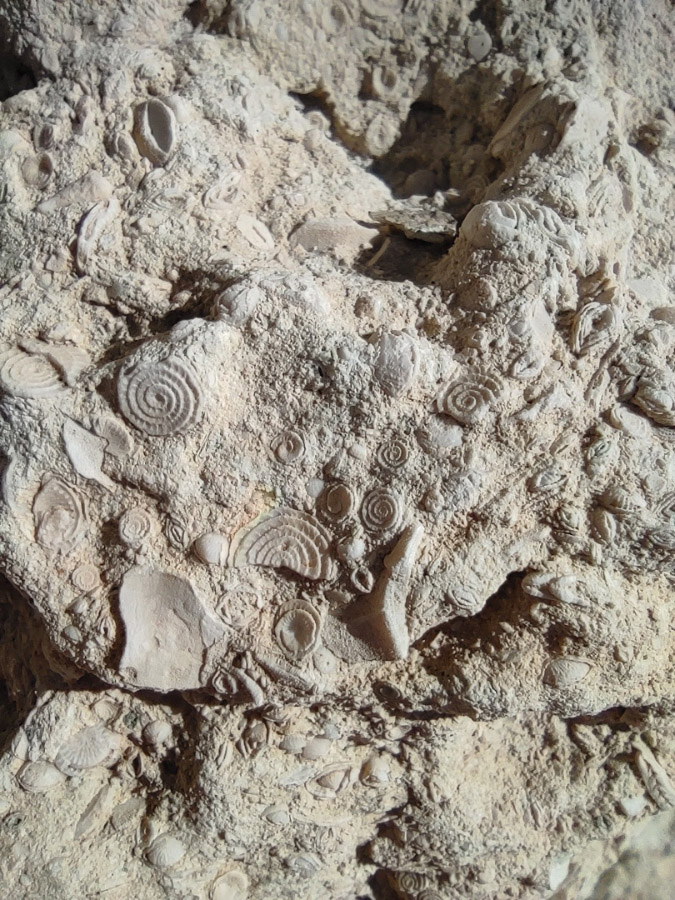 отдых в песчаном крым куда сходить фото